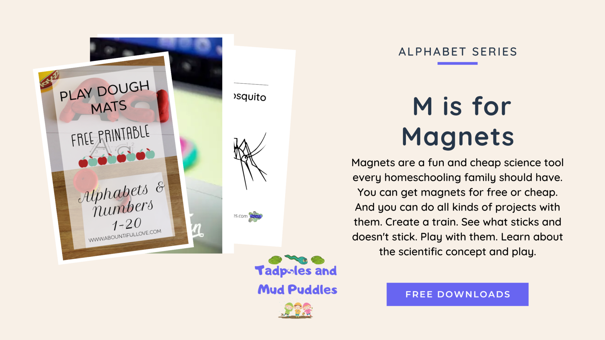 m is for magnets