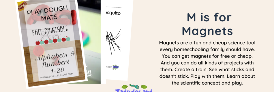 m is for magnets