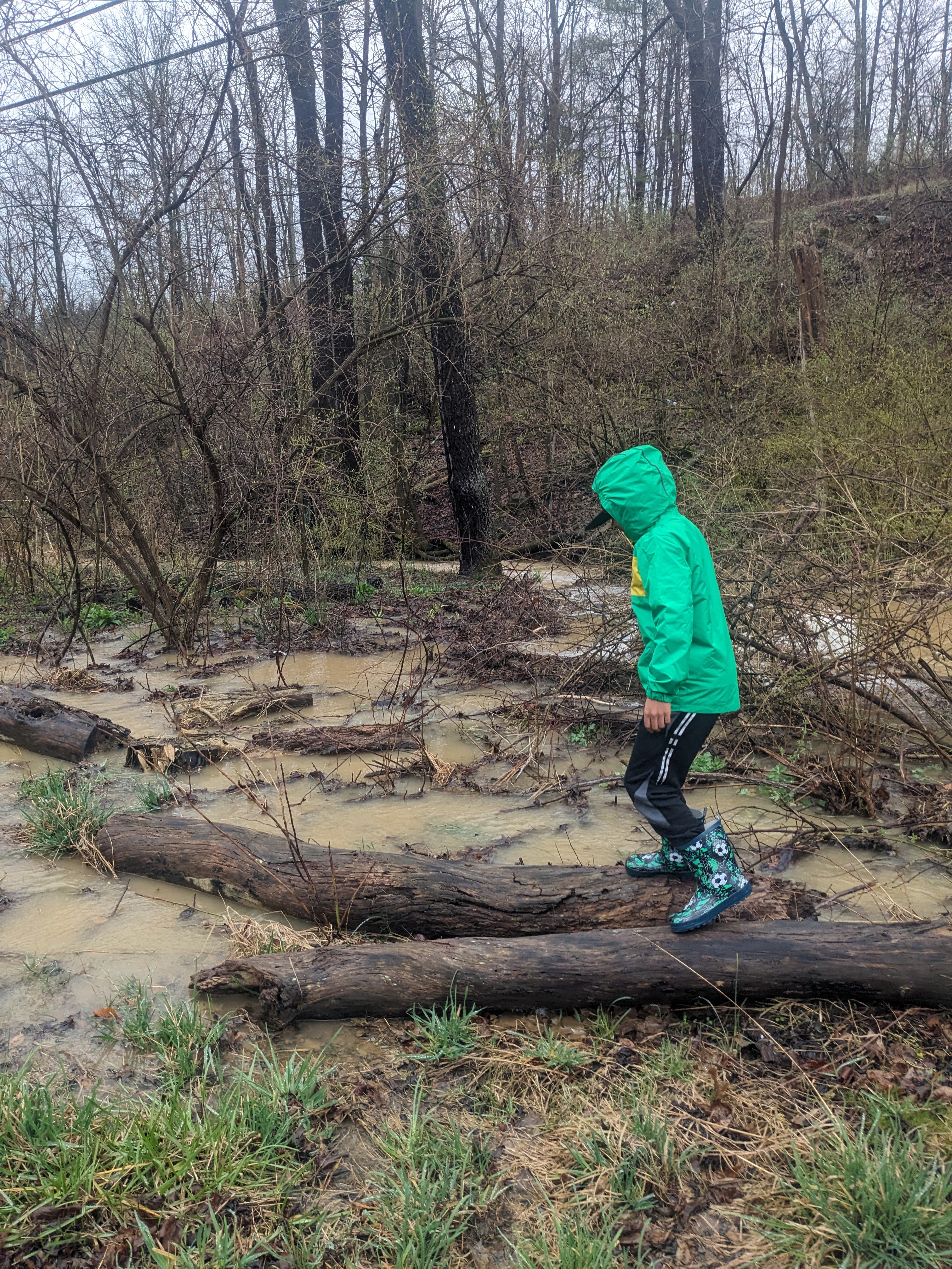 climbing logs